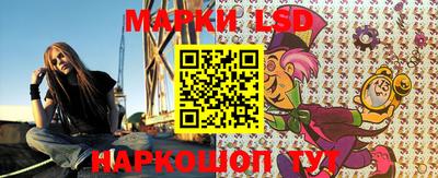 гидра Новозыбков