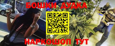 гидра Новозыбков