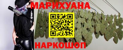 гидра Новозыбков