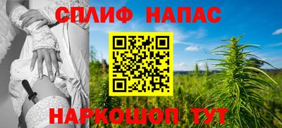 тгк Новодвинск