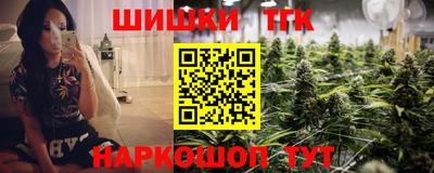 тгк Новодвинск