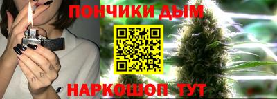 гидра Новозыбков