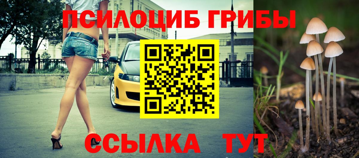 Галлюциногенные грибы GOLDEN TEACHER  Вход с VPN  где купить наркотик  Озёры 
