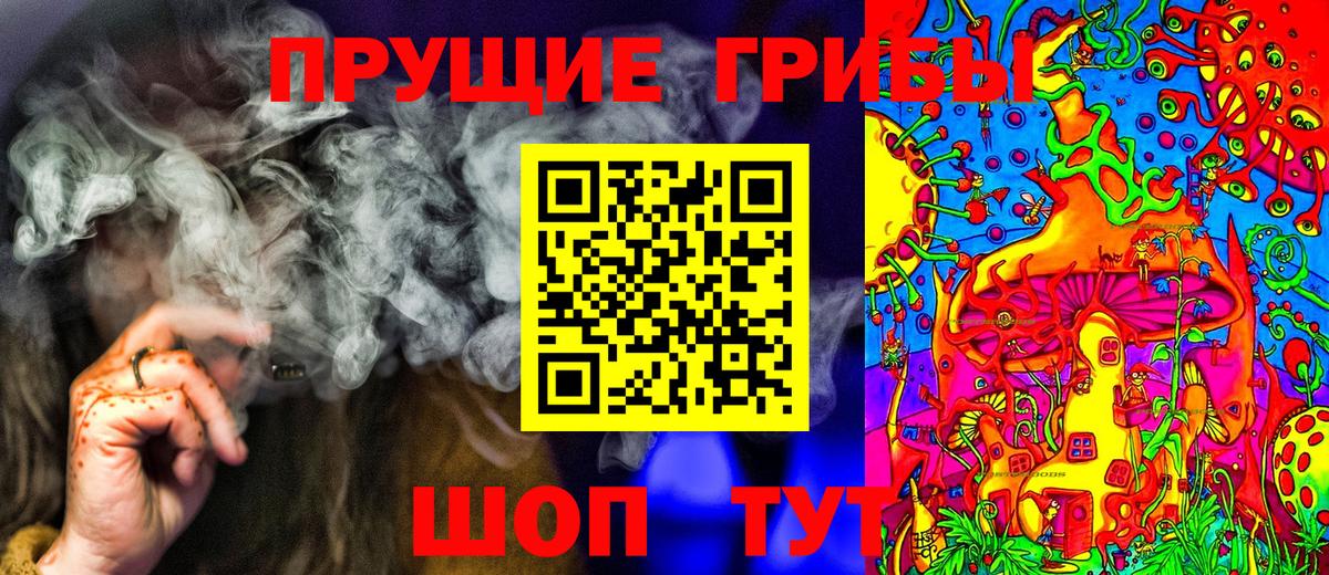 Псилоцибиновые грибы Psilocybe Озёры